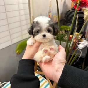 f6853246-67e9-4b64-a20f-bc1ec6928c1b